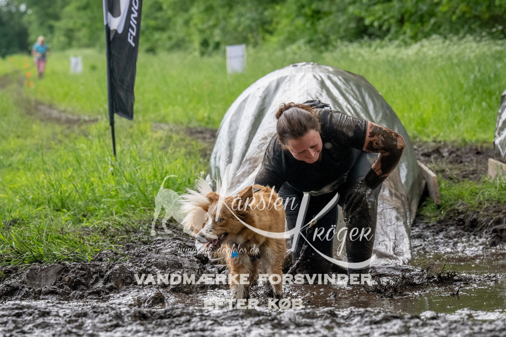 1502_ZZ91709-Bearbeitet | kk-dogfotos