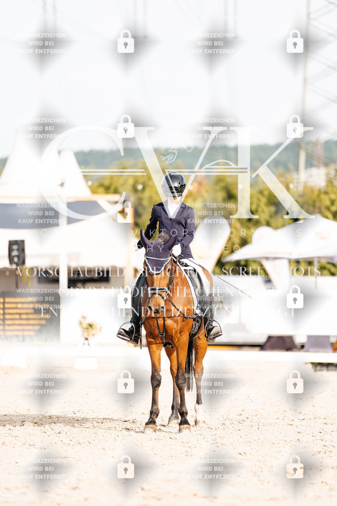 CK904466 | Turnierfotografie Pferdefotografie Trier Rheinland-Pfalz Pferdesport Reitsport Tierfotografie Sportfotografie Pferdevideo Pferdevideografie Equestrianvideography equestrianphotography  - Realisiert mit Pictrs.com