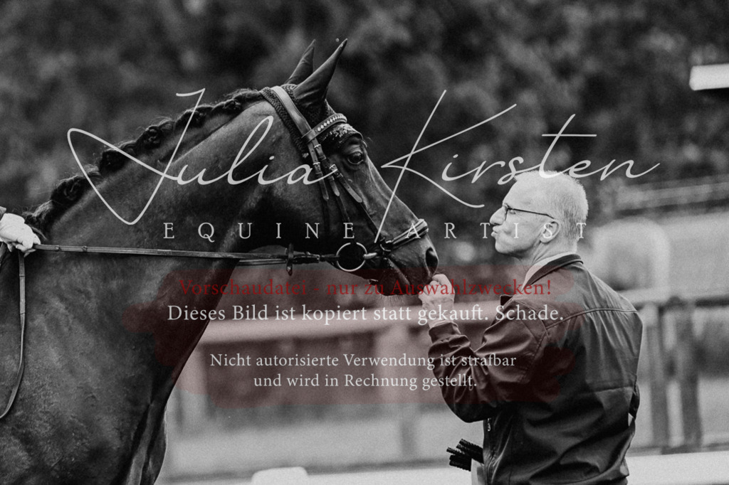 DSC_2782 | Pferde- und Turnierfotografie in Westsachsen. Pferdeportraits, Auftragszeichnungen und intuitive Kunst.