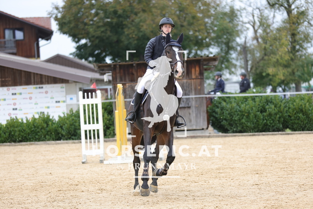 0P6A2539 | Willkommen bei Brunnmayr - Design & Fotografie – Ihrem Spezialisten für Reitturniere und Pferdeveranstaltungen in Oberösterreich, Salzburg und Bayern! Seit über 17 Jahren sind wir leidenschaftlich dabei.