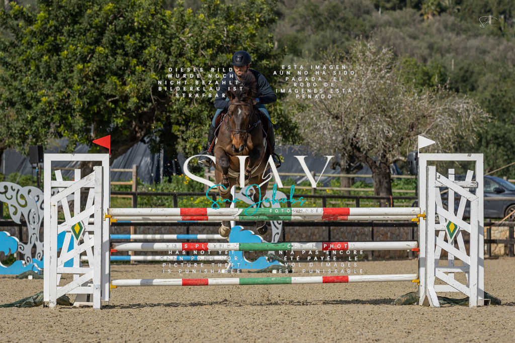 IMG_6832 | s-jay-photography - Realisiert mit Pictrs.com