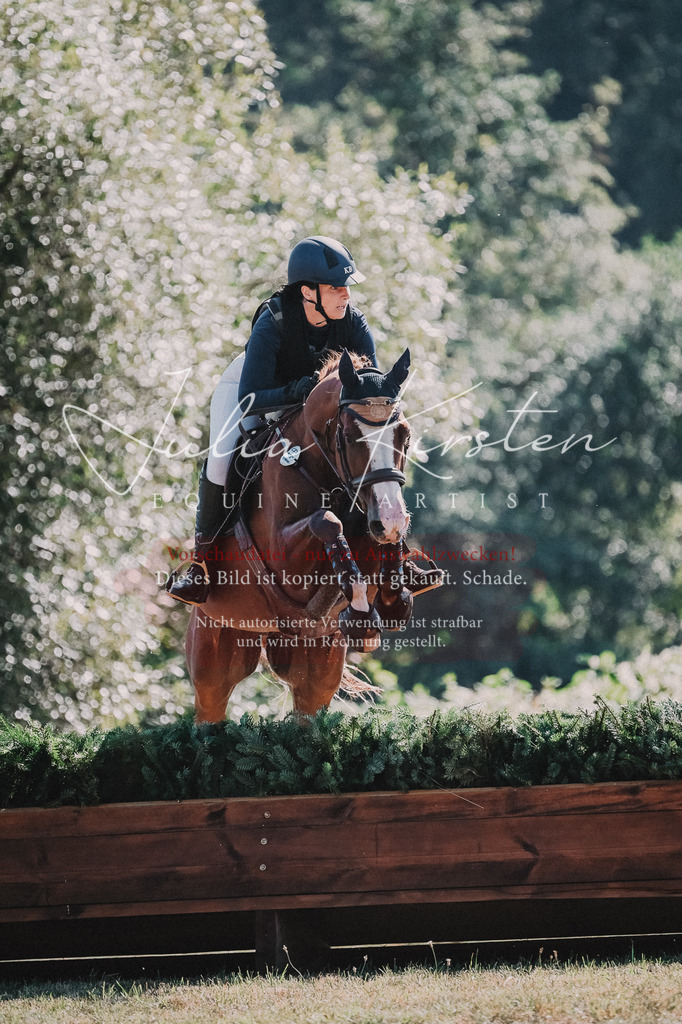 DSC_8000 | Pferde- und Turnierfotografie in Westsachsen. Pferdeportraits, Auftragszeichnungen und intuitive Kunst.