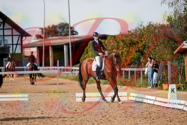 2026_10_03_Siefer-Hof_130957_Z63_71859441 | Professionelle Reitsport-, Turnier- und Eventfotografie von Robert Broda. Galerien mit ausgewählten und bearbeiteten Bildern direkt online ansehen und bestellen.