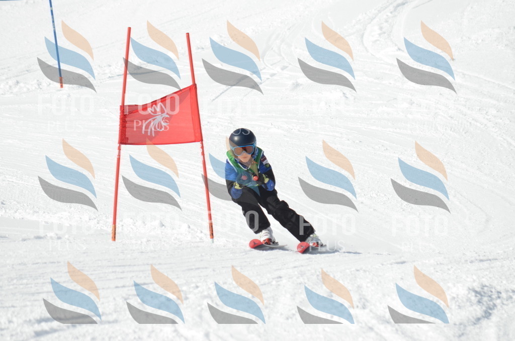 D8764 | holidayphoto