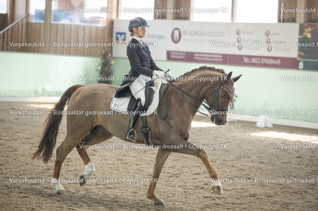 _D5A1250 | Emotionale Pferde- & People-Fotografie rund um Heidelberg, Leimen & Umgebung. Natürliche Fotos von Pferd, Mensch & Familie. Jetzt Termin sichern!