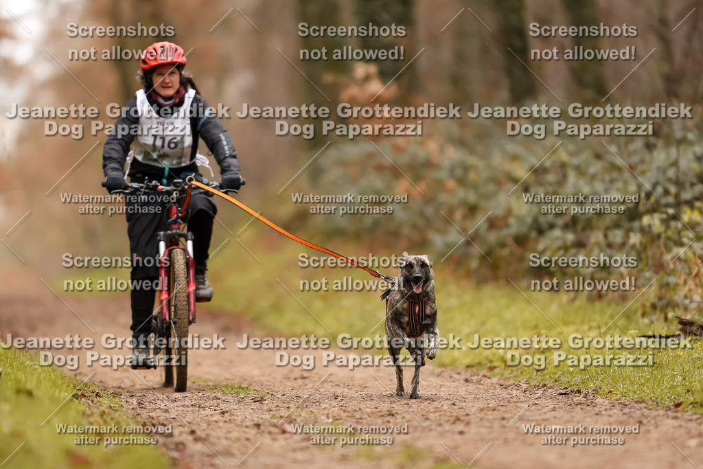 Dog Paparazzi - Speedhunter Mannheim  2025-321 | Dog Paparazzi Jeanette Grottendiek Fotografie & Videografie