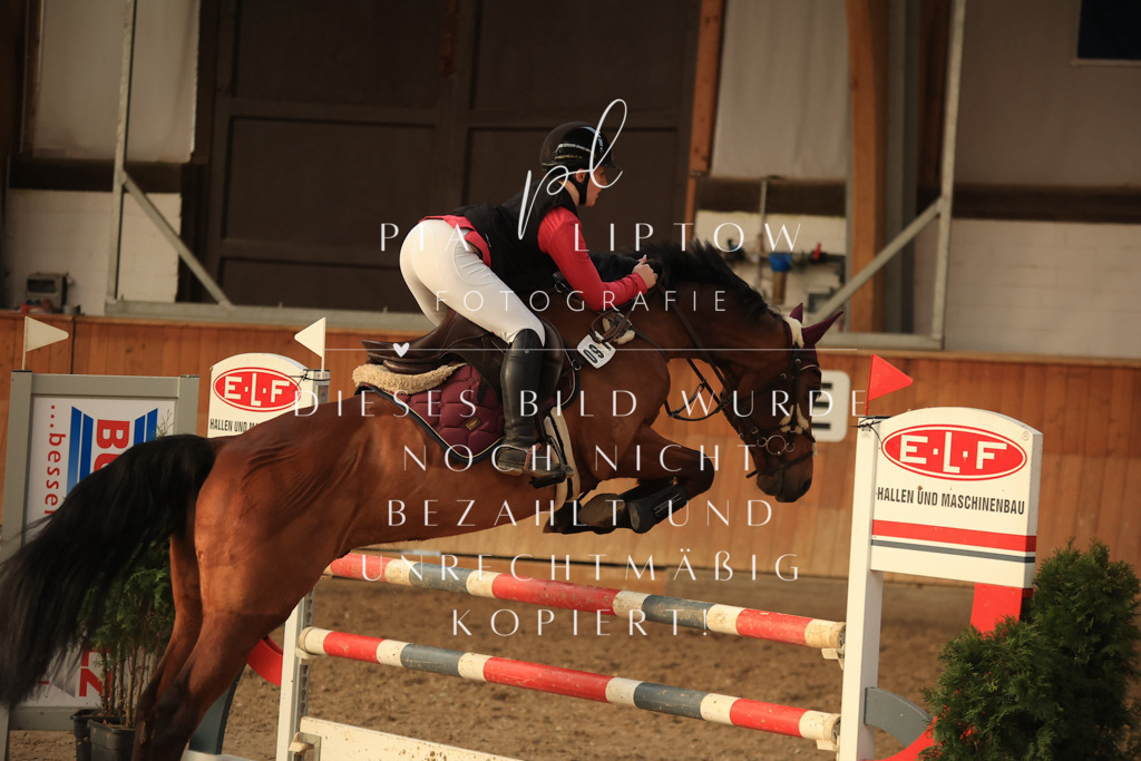 IMGT6580 | pl-fotografie