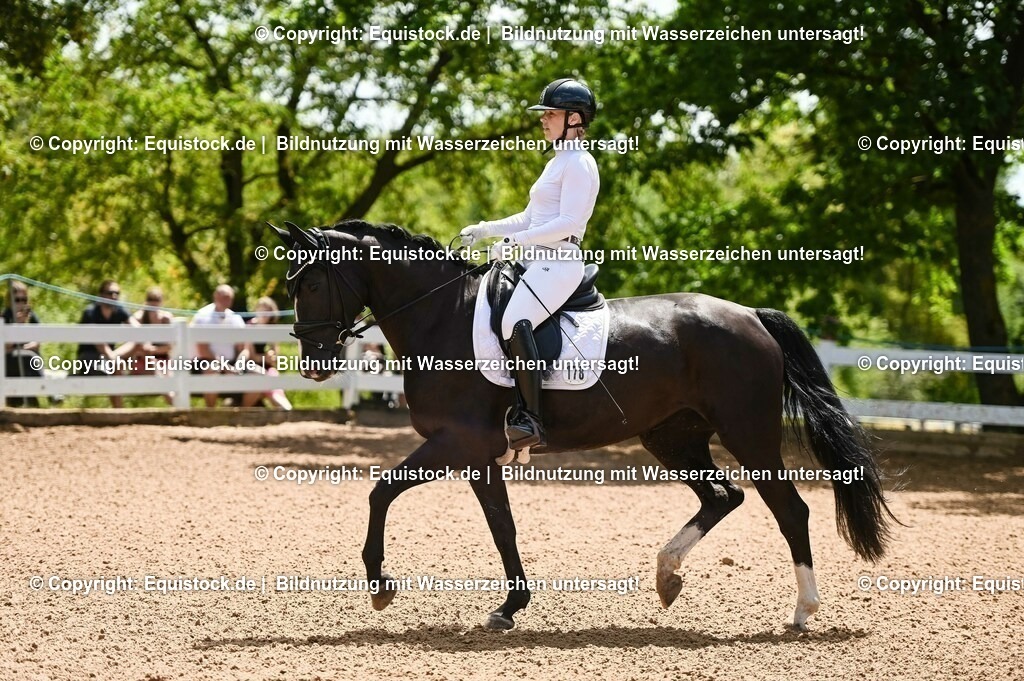 20230716_03_Dressurprfg. Kl.L - Tr._0042 | equistock