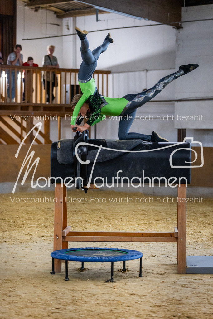 Holzpferd-014 | MomenTaufnahmen Pferdesportfotos