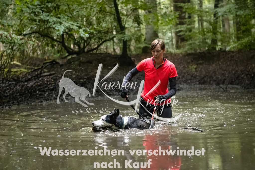 1231_ZZ90954-Bearbeitet | kk-dogfotos