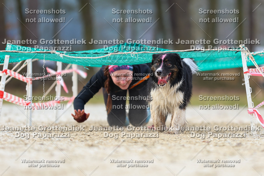 Dog Paparazzi - Strongdog North Mrz26-3851 | Dog Paparazzi Jeanette Grottendiek Fotografie & Videografie - Realisiert mit Pictrs.com