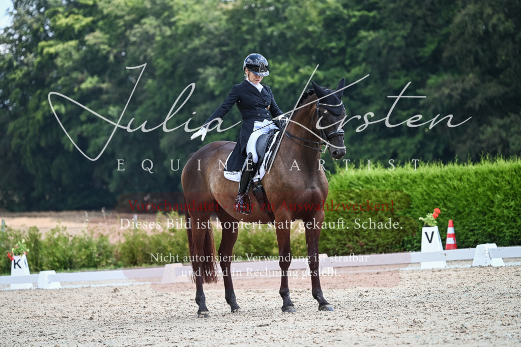 DSC_2436 | Pferde- und Turnierfotografie in Westsachsen. Pferdeportraits, Auftragszeichnungen und intuitive Kunst.