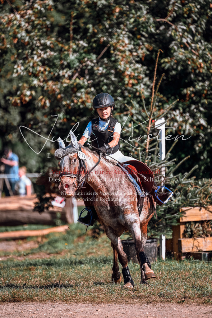 DSC_0716 | Pferde- und Turnierfotografie in Westsachsen. Pferdeportraits, Auftragszeichnungen und intuitive Kunst.