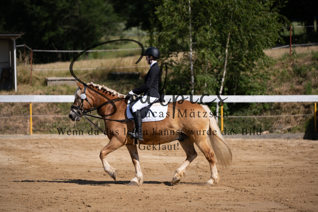 A7V07762 | Turnier/Reitfotograf
