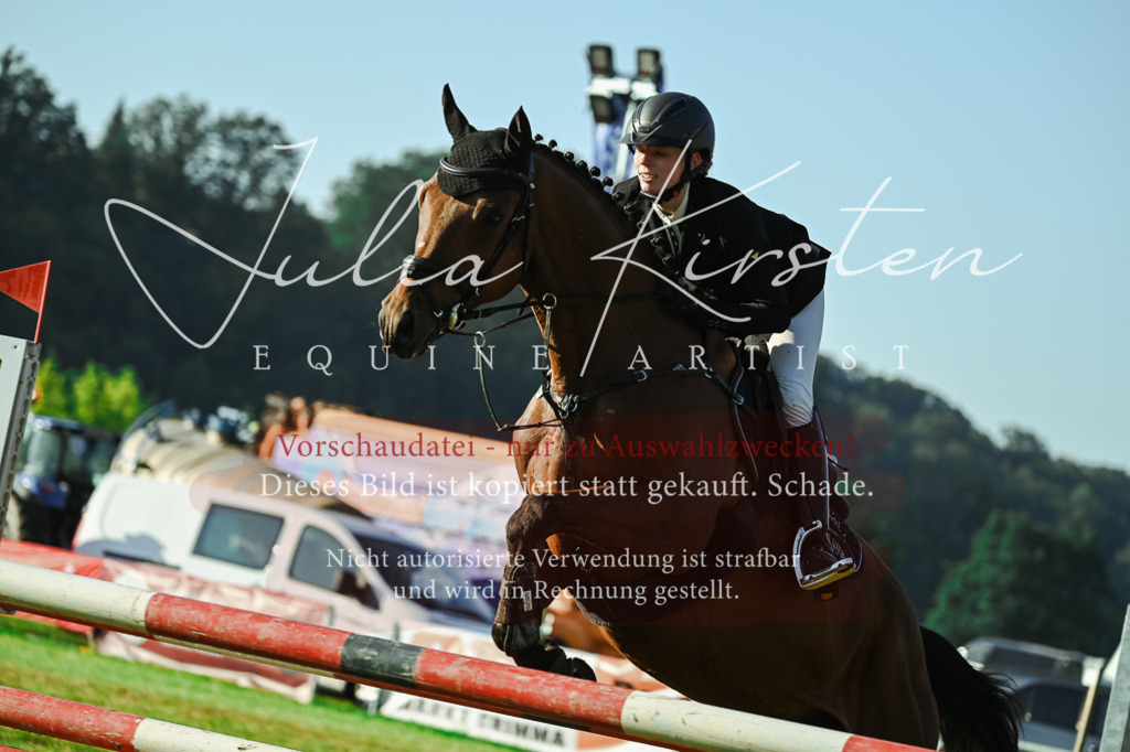 DSC_4316 | Pferde- und Turnierfotografie in Westsachsen. Pferdeportraits, Auftragszeichnungen und intuitive Kunst.