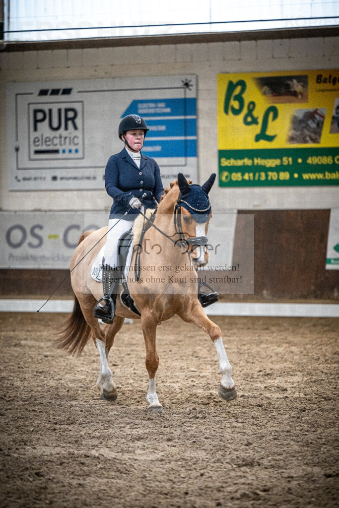 DOS_1486 | Entdecke hochwertige Reitturnierfotos von Foto Oger. Professionell, emotional und authentisch – jetzt Lieblingsmomente im Shop bestellen.Deutschlandweite Turnierfotografie. - Realisiert mit Pictrs.com