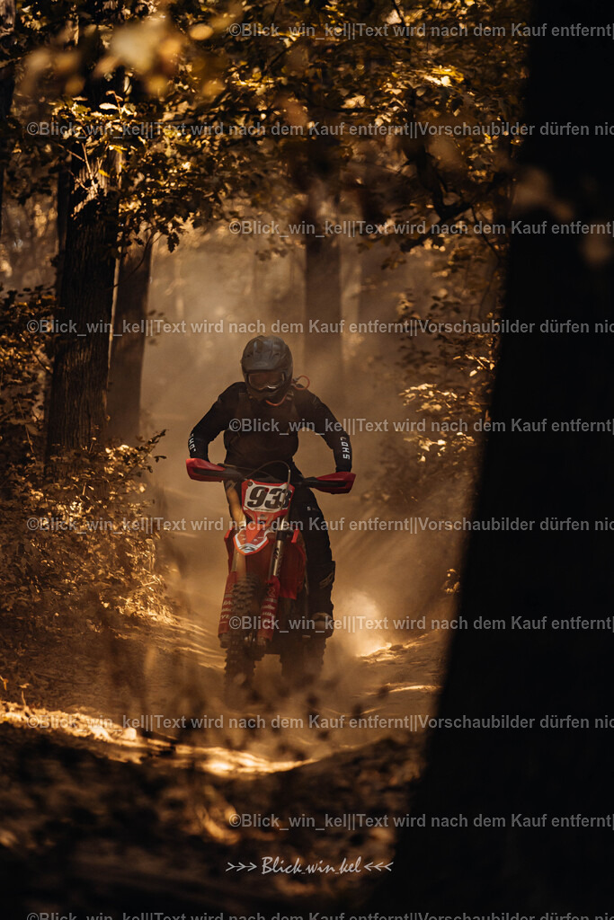 E68A8023 | blick_win_kel