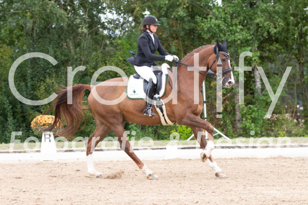 IMG_7269 | Creatify Fotografie