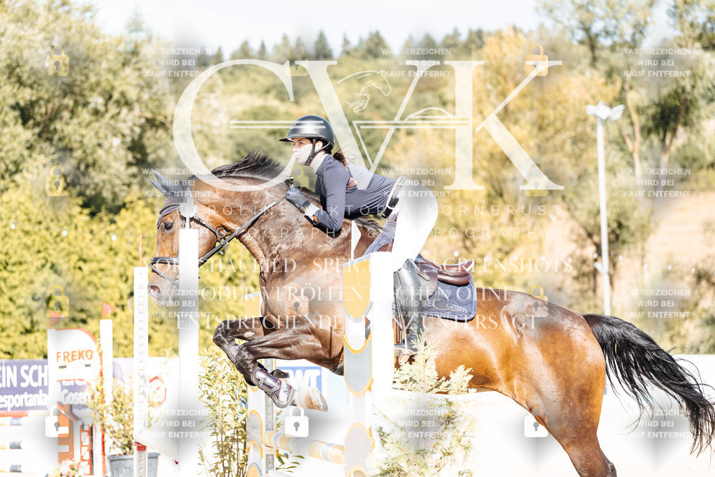 CK909199 | Turnierfotografie Pferdefotografie Trier Rheinland-Pfalz Pferdesport Reitsport Tierfotografie Sportfotografie Pferdevideo Pferdevideografie Equestrianvideography equestrianphotography  - Realisiert mit Pictrs.com