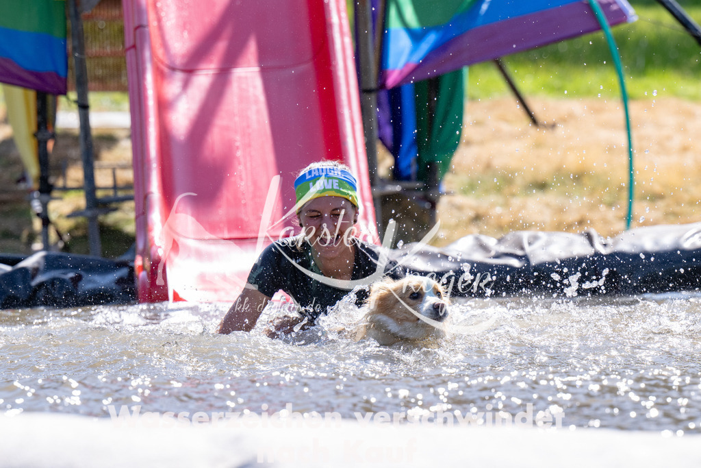 1421_ZZ94706 | kk-dogfotos