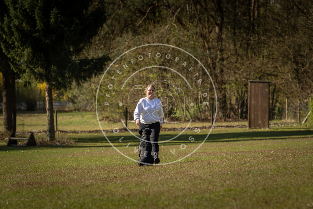 Pfotenfotografie_DV3A0249 | Hundefotografie, Tierfotograf, Pfotenfotografie, Fotoshooting Hund, Hunde Portrait, Hundesport, Hundeportraits, Heideshooting, Hunde, Sportfotograf, Hundefotograf, Turnierhundsport, THS,  - Realisiert mit Pictrs.com