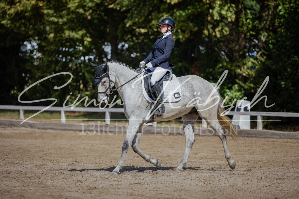 20250906-_3LI4354 | Tierfotografie Pferde, Hunde, Katzen, Haustiere.
Turnierfotografie Reitturniere, Reiten, Springreiten, Dressur in Hanau, dem Main-Kinzig-Kreis und dem Rhein-Main- Gebiet um Frankfurt