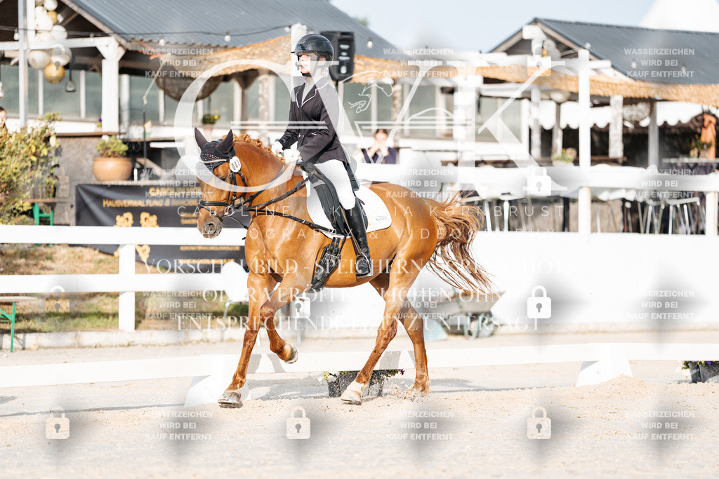 CK903834 | Turnierfotografie Pferdefotografie Trier Rheinland-Pfalz Pferdesport Reitsport Tierfotografie Sportfotografie Pferdevideo Pferdevideografie Equestrianvideography equestrianphotography  - Realisiert mit Pictrs.com
