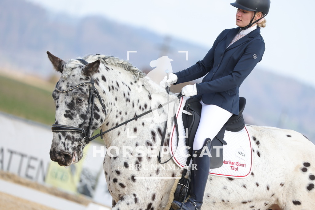 0P6A6372 | Willkommen bei Brunnmayr - Design & Fotografie – Ihrem Spezialisten für Reitturniere und Pferdeveranstaltungen in Oberösterreich, Salzburg und Bayern! Seit über 17 Jahren sind wir leidenschaftlich dabei.