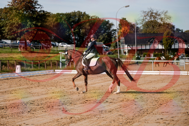 2026_10_03_Siefer-Hof_114730_Z63_26584914 | Professionelle Reitsport-, Turnier- und Eventfotografie von Robert Broda. Galerien mit ausgewählten und bearbeiteten Bildern direkt online ansehen und bestellen.