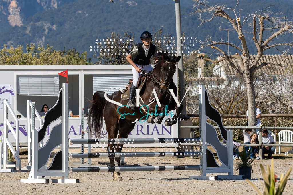 IMG_8981 | s-jay-photography - Realisiert mit Pictrs.com