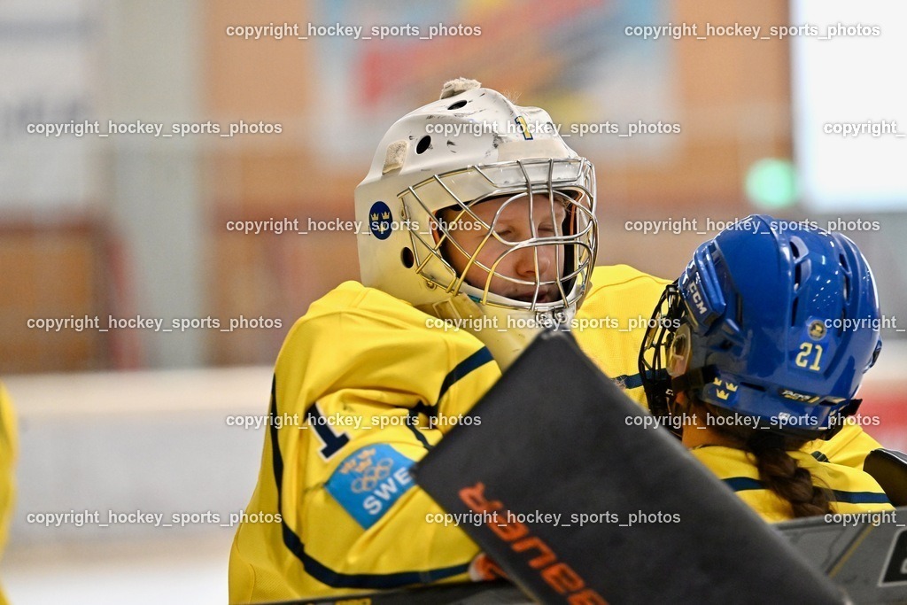 Z9B_6779 | hockey sports photos, Pressefotos, Sportfotos, hockey247, win 2day icehockeyleague, Handball Austria, Floorball Austria, ÖVV, Kärntner Eishockeyverband, KEHV, KFV, Kärntner Fussballverband, Österreichischer Volleyballverband, Alps Hockey League, ÖFB, 