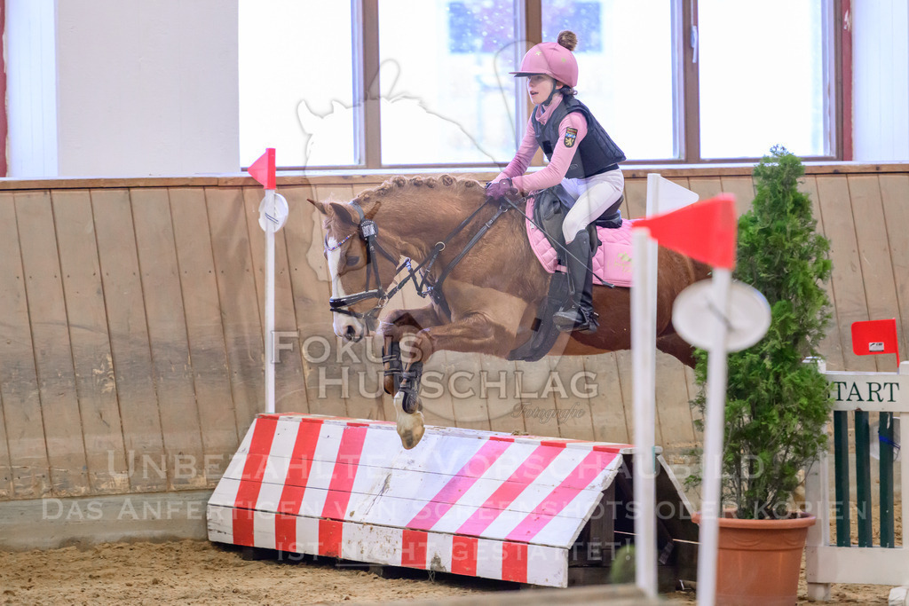 29032026-Schwaiganger-Prfg01-593 | Fokus Hufschlag Fotografie - Realisiert mit Pictrs.com