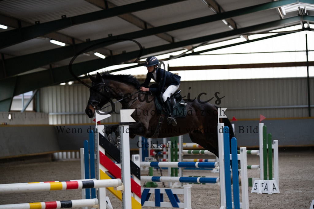 A7V04411 | Pferdefotograf