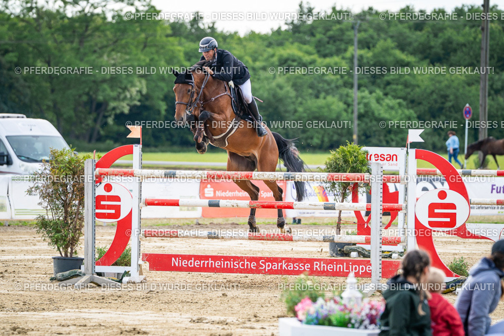 DSC07396 | Pferdegrafie