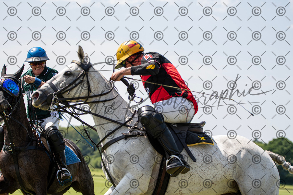 POL_2190 | andre_photographic