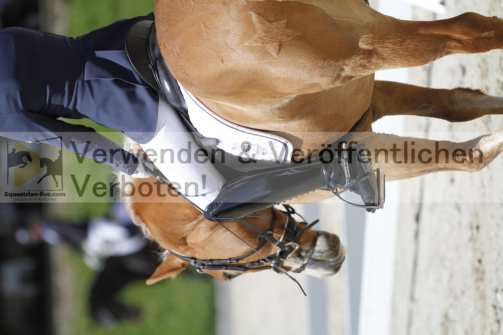 _MG_5038 | equestrian-live-com