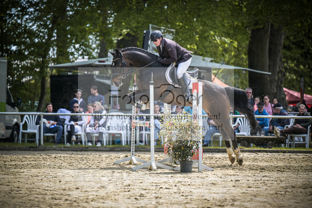 DOS_0335 | Entdecke hochwertige Reitturnierfotos von Foto Oger. Professionell, emotional und authentisch – jetzt Lieblingsmomente im Shop bestellen.Deutschlandweite Turnierfotografie. - Realisiert mit Pictrs.com