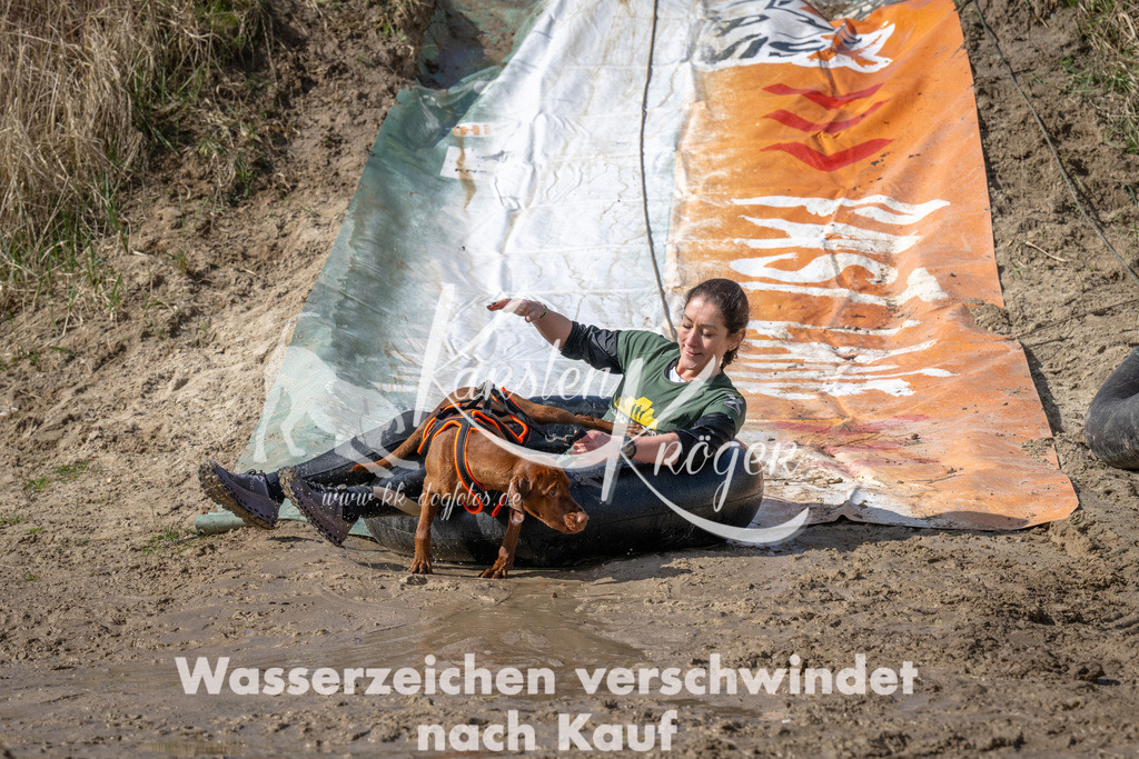 1156_ZZ91249 | kk-dogfotos
