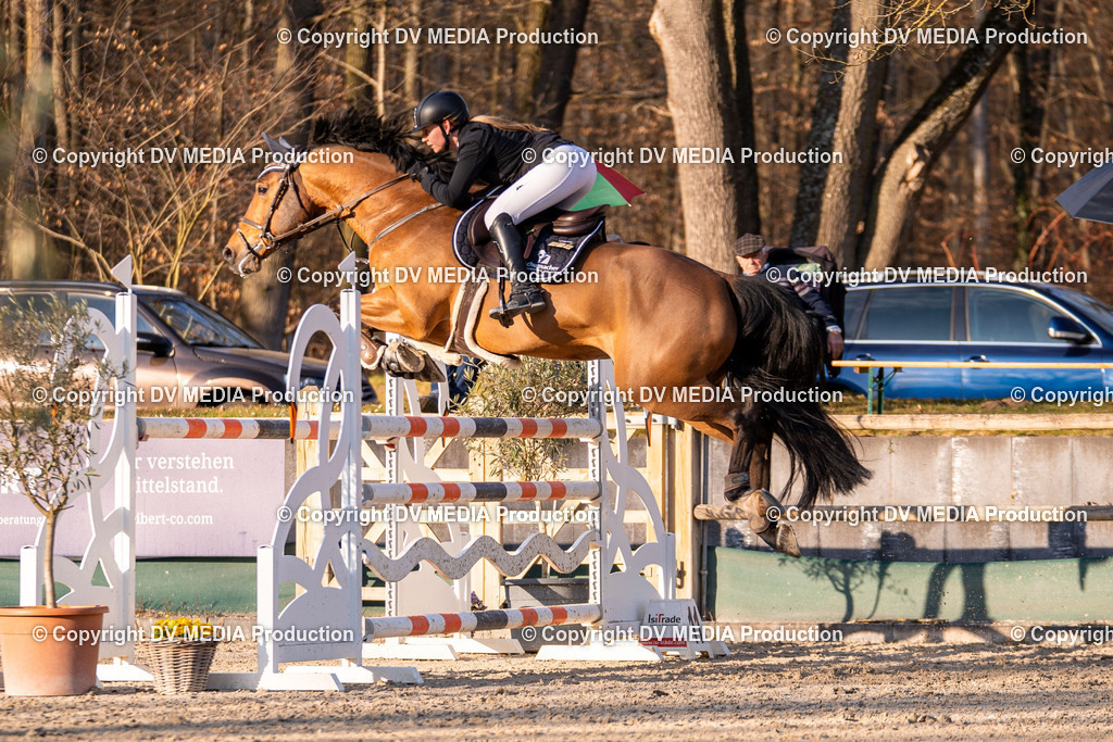 Kranichstein Tag 2-1078 | dv-media-shop - Realisiert mit Pictrs.com