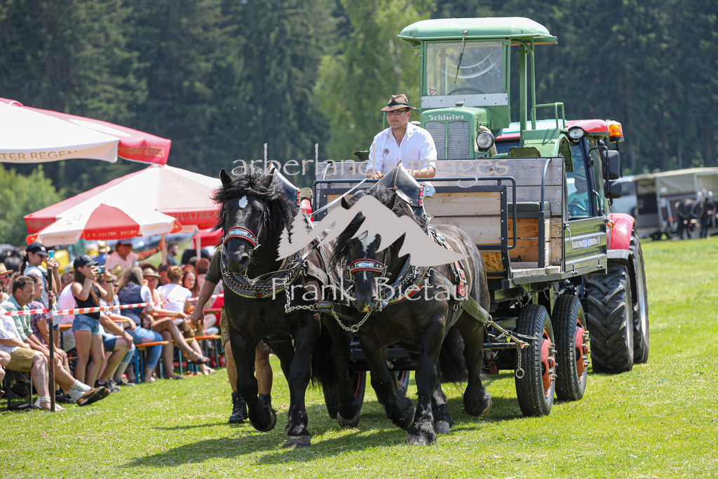 OE7A4574 | Beim Zugpferdetreffen in Poschedtsried galt es verschiedene Wettbewerbe zu meistern, Einzelrennen im Reiten, Traktorpulling und auch ein Hunderennen wurde veranstaltet