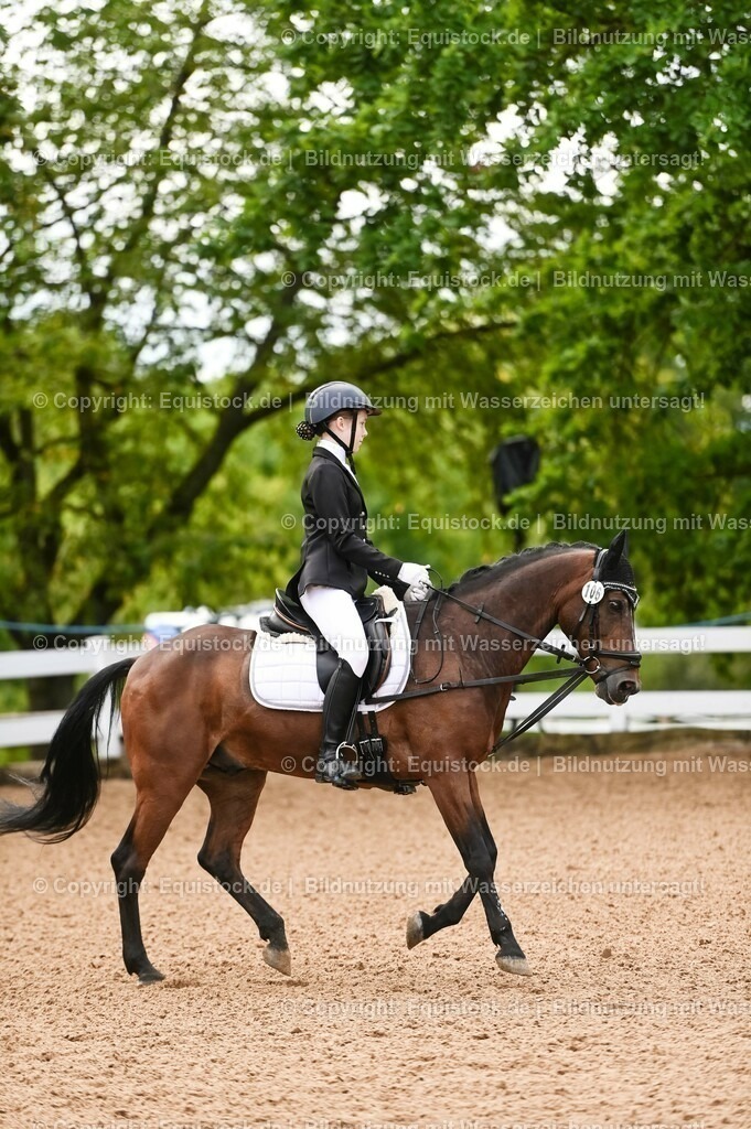 20230716_10-2_Reiter-WB Schritt - Trab - Galopp_0124 | equistock