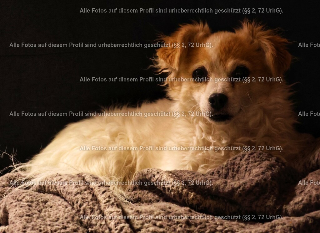 20240308061027_0C4A2616_2-01 | krollfotografie - Realisiert mit Pictrs.com