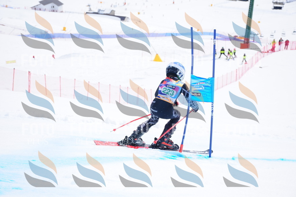 DSC_2043 | holidayphoto