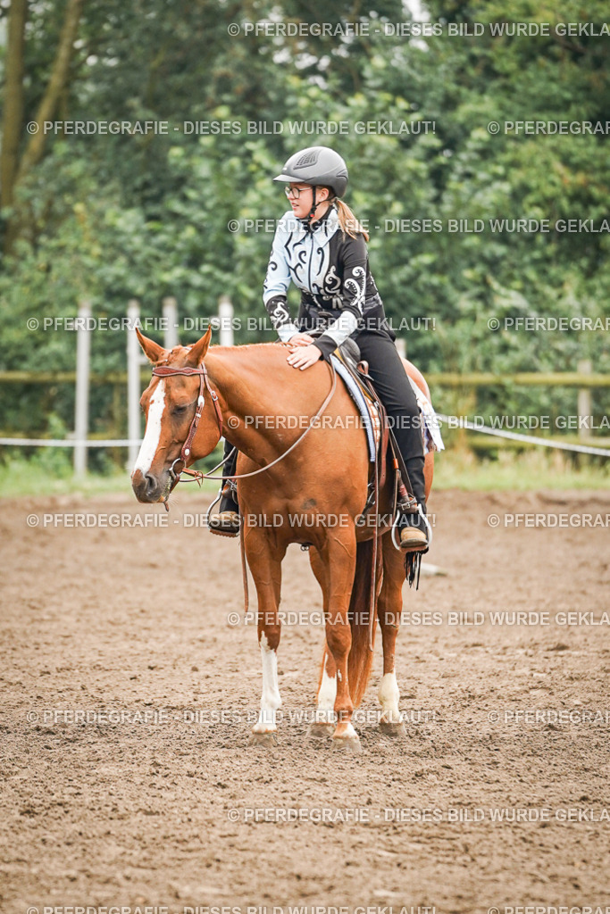 DSC02064 | Pferdegrafie