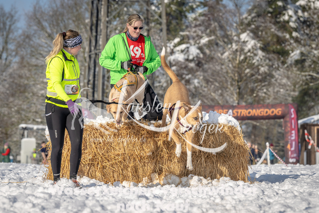 0954_ZZ94100 | kk-dogfotos