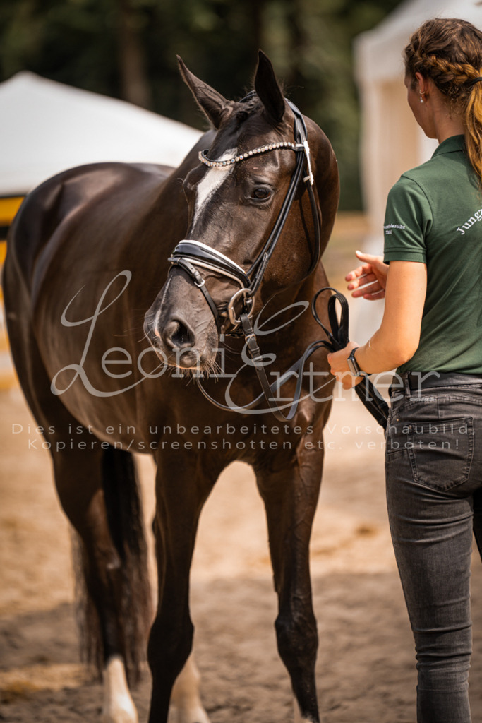 7.Fr00124 | Leoni Ertmer Photography - Realisiert mit Pictrs.com