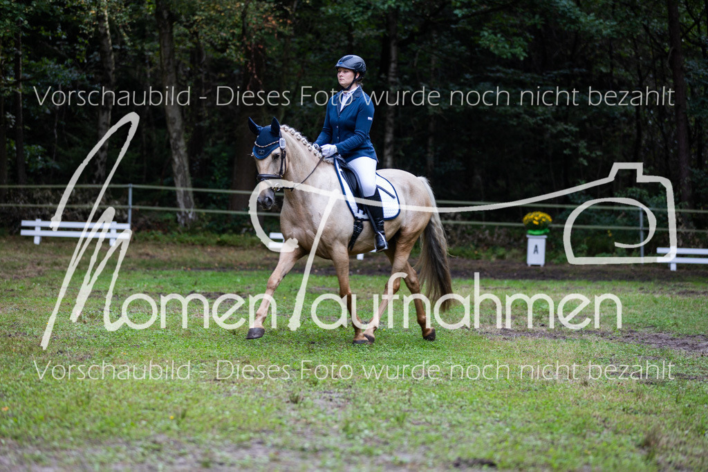 HB-A-Dressur-068 | MomenTaufnahmen Pferdesportfotos