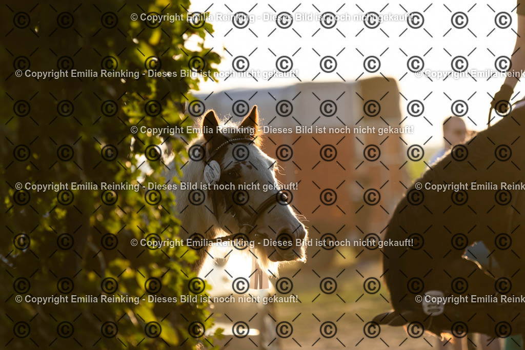 CL5A0699 | Emilia Reinking Fotografie - Realisiert mit Pictrs.com