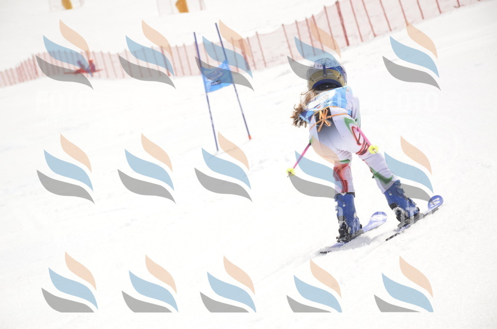 _ELE8658 | holidayphoto