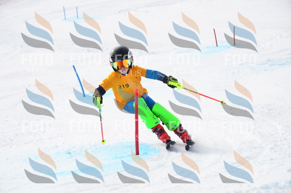 C8232 | holidayphoto